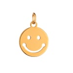 Gold color / 1 Piece Simple Series Smiley Face Shape Stainless Steel  Gold Color Women's Pendants Picture4